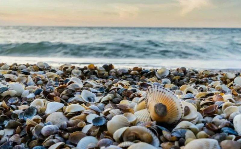 Dünyadaki sıra dışı kumsallar