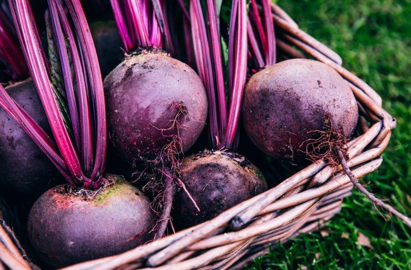 Mor meyve ve sebzelerin faydaları