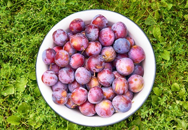Mor meyve ve sebzelerin faydaları
