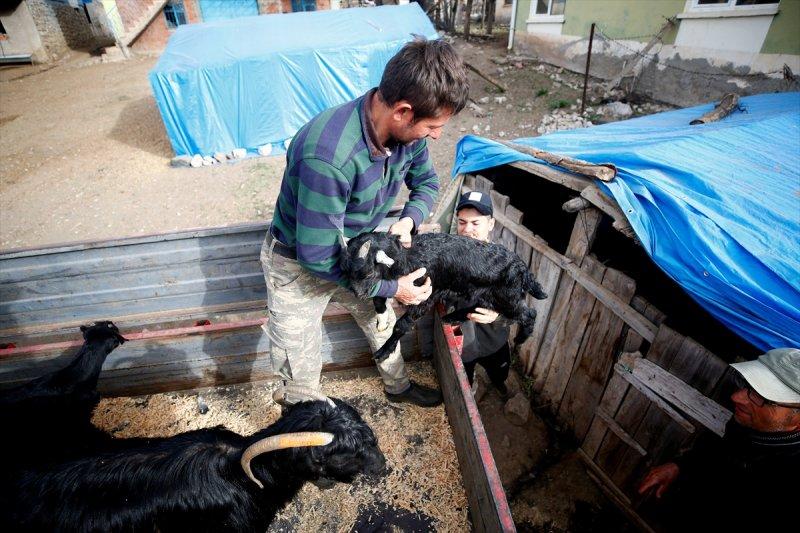 Kayserili besicilerin, sürüleriyle Aladağ yaylalarına zorlu yolculuğu