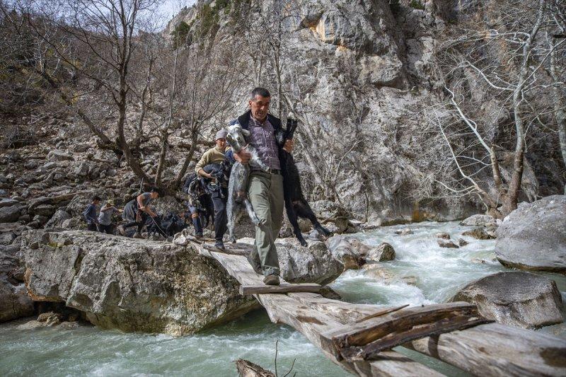 Kayserili besicilerin, sürüleriyle Aladağ yaylalarına zorlu yolculuğu