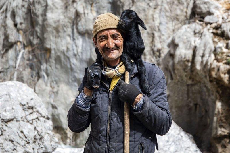Kayserili besicilerin, sürüleriyle Aladağ yaylalarına zorlu yolculuğu
