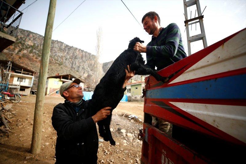 Kayserili besicilerin, sürüleriyle Aladağ yaylalarına zorlu yolculuğu