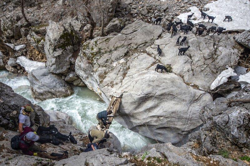Kayserili besicilerin, sürüleriyle Aladağ yaylalarına zorlu yolculuğu