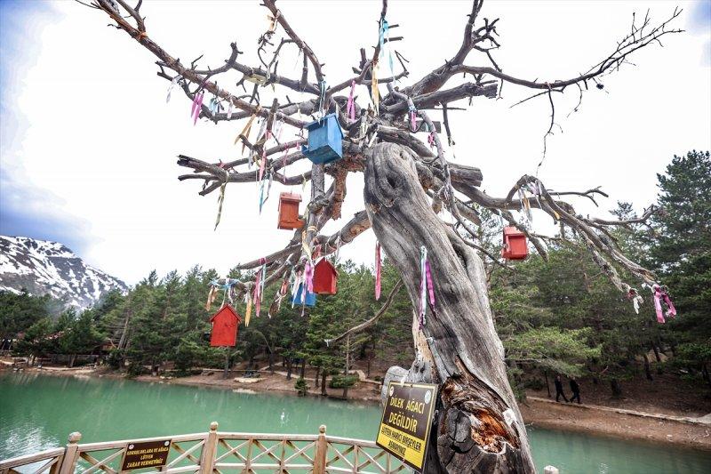 Limni Gölü, baharla birlikte ziyarete açıldı