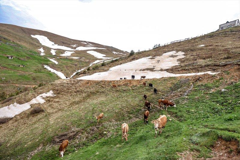 Limni Gölü, baharla birlikte ziyarete açıldı