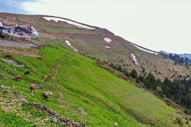Limni Gölü, baharla birlikte ziyarete açıldı