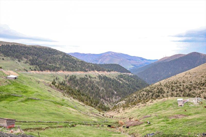 Limni Gölü, baharla birlikte ziyarete açıldı