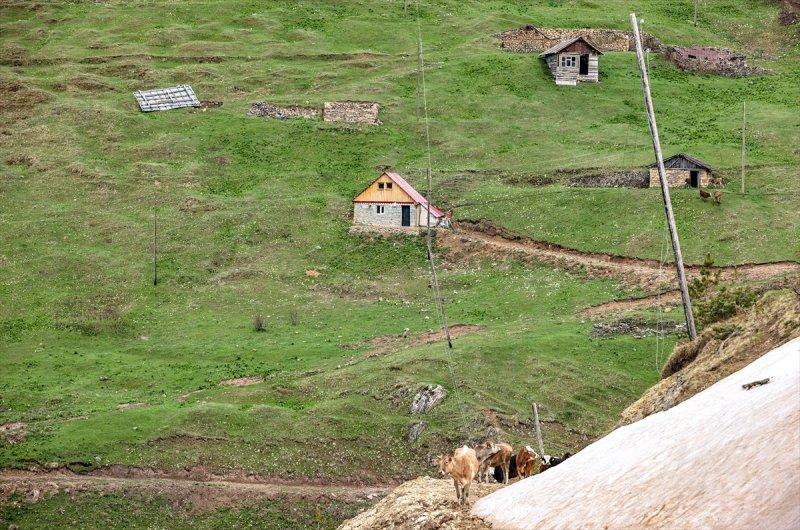 Limni Gölü, baharla birlikte ziyarete açıldı