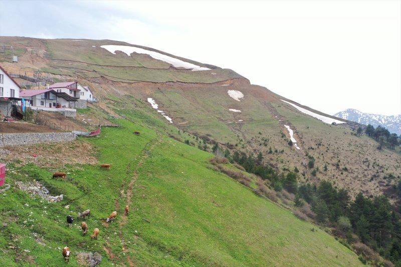 Limni Gölü, baharla birlikte ziyarete açıldı