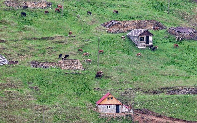 Limni Gölü, baharla birlikte ziyarete açıldı