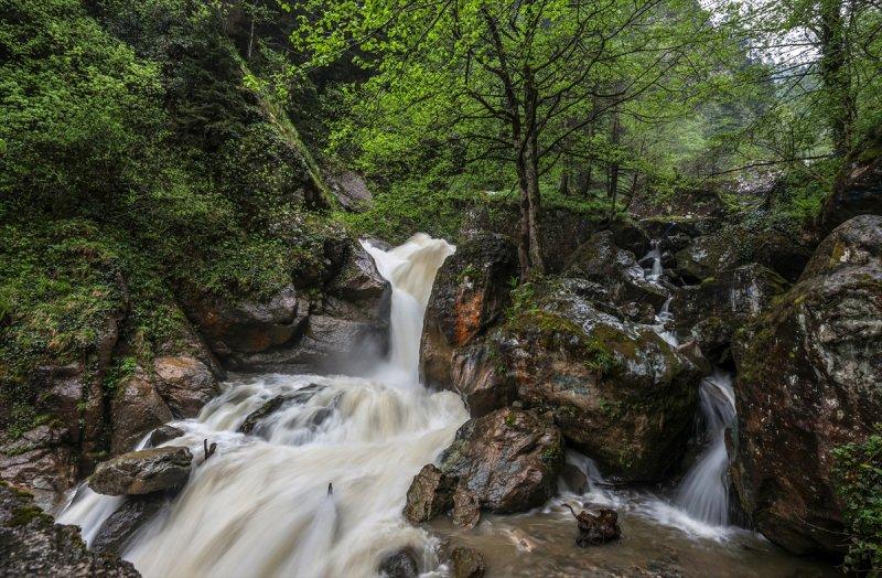 Limni Gölü, baharla birlikte ziyarete açıldı