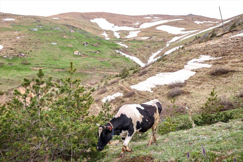 Limni Gölü, baharla birlikte ziyarete açıldı