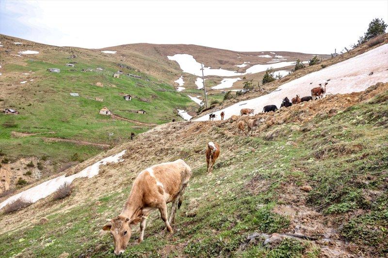 Limni Gölü, baharla birlikte ziyarete açıldı