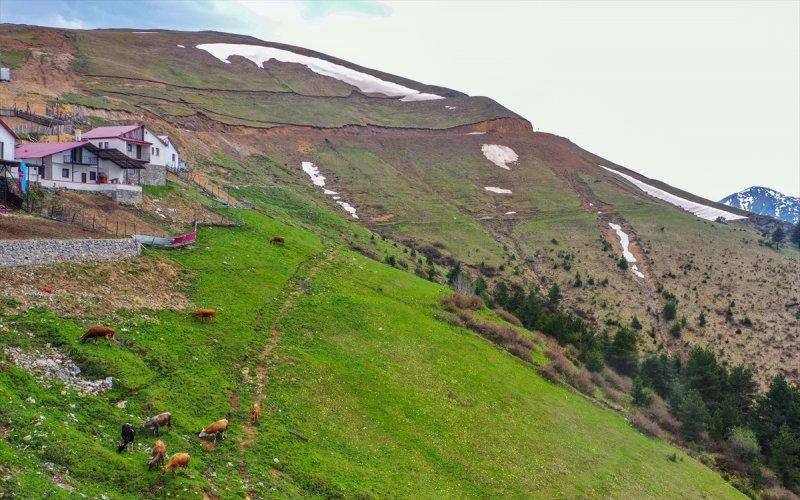 Limni Gölü, baharla birlikte ziyarete açıldı