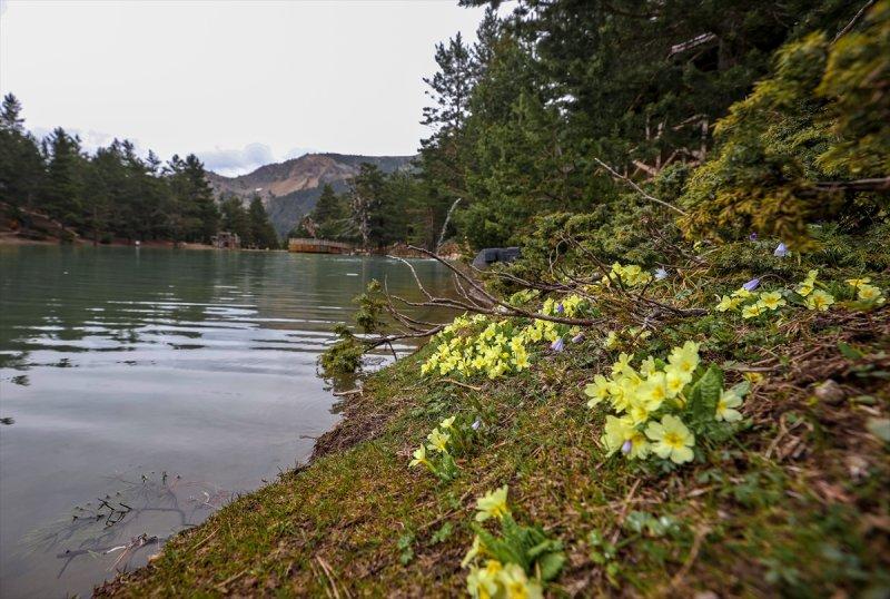 Limni Gölü, baharla birlikte ziyarete açıldı