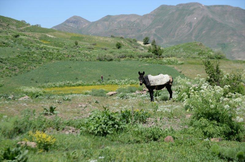 Yayla Dağı zirvesindeki göle 7 kilometrelik yürüyüşle ulaştılar