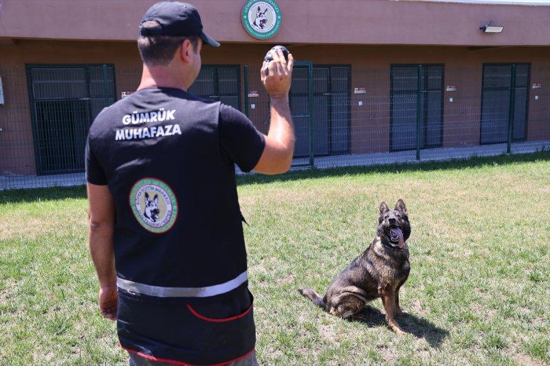 Kapıkule'de kaçakçılığa karşı üst düzey teknoloji devrede