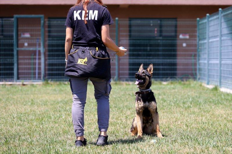 Kapıkule'de kaçakçılığa karşı üst düzey teknoloji devrede