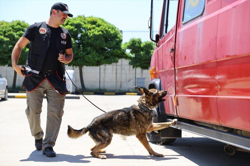 Kapıkule'de kaçakçılığa karşı üst düzey teknoloji devrede