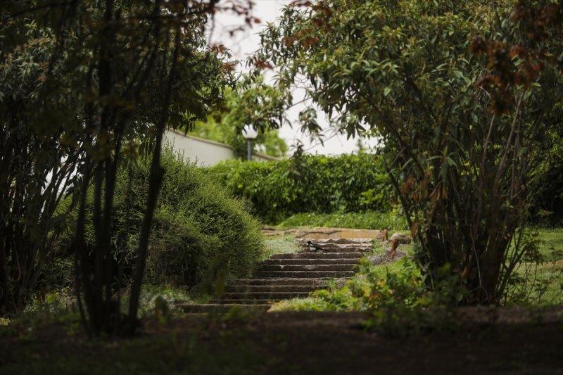 Meclis'in 'botanik parkı'