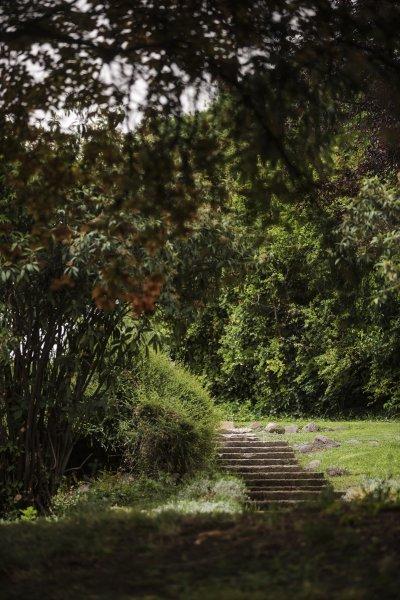 Meclis'in 'botanik parkı'