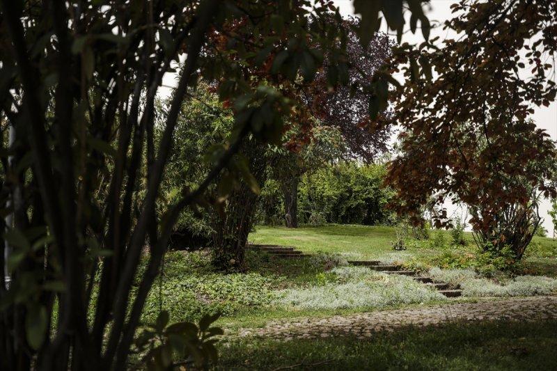 Meclis'in 'botanik parkı'