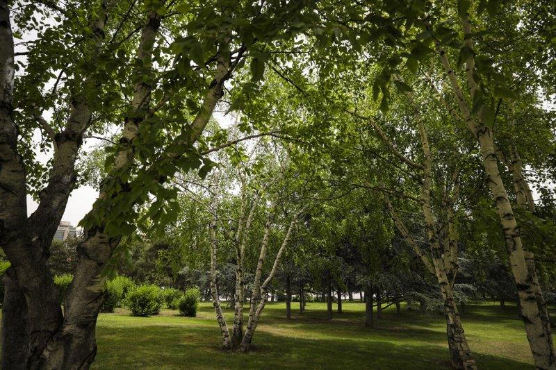 Meclis'in 'botanik parkı'
