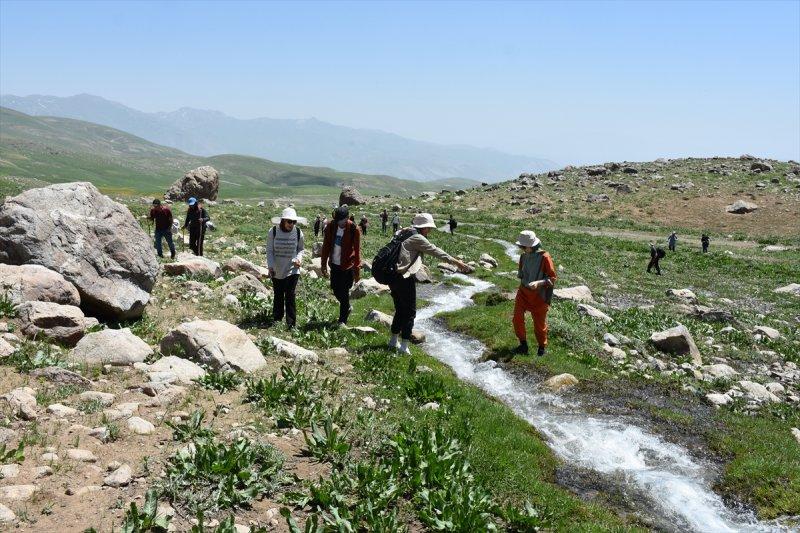 Hakkari'de turist hareketliliği