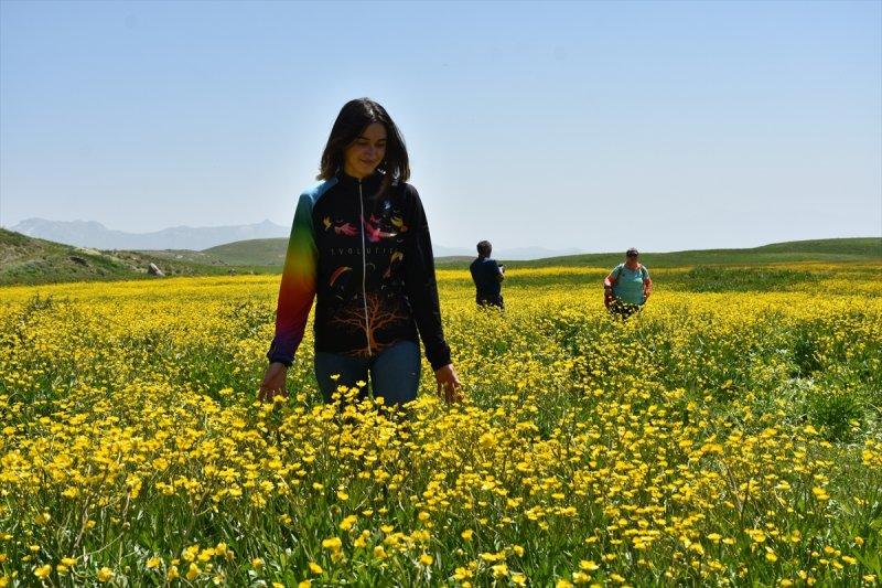 Hakkari'de turist hareketliliği