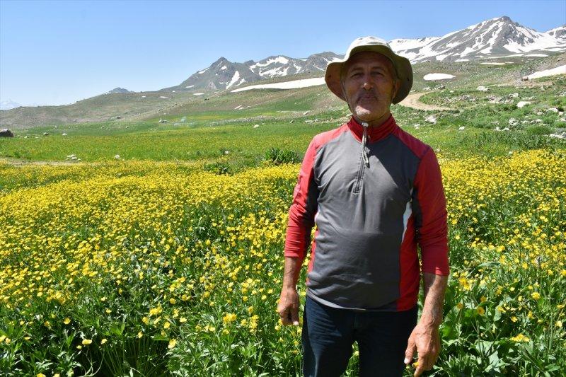 Hakkari'de turist hareketliliği