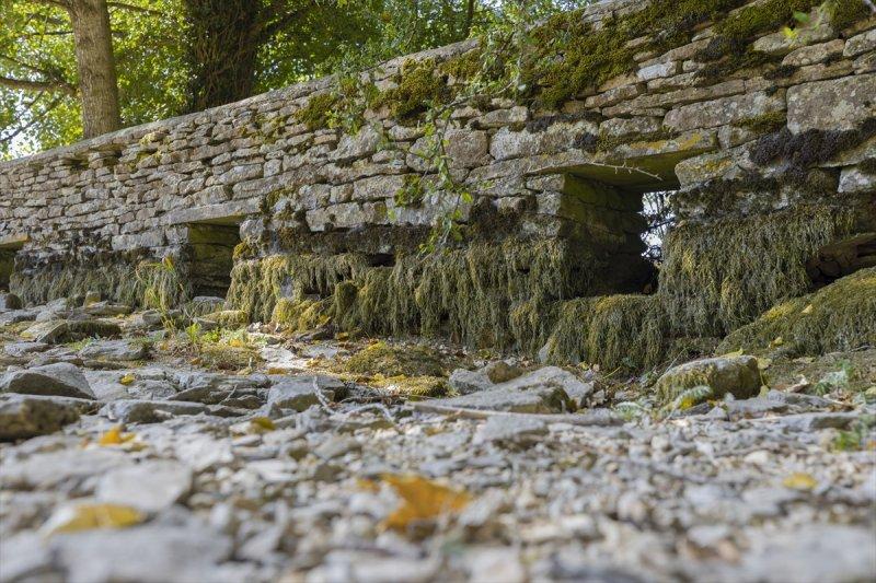 Thames Nehri'nin kaynağı kuruyor