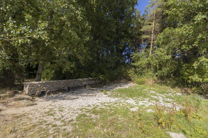 Thames Nehri'nin kaynağı kuruyor