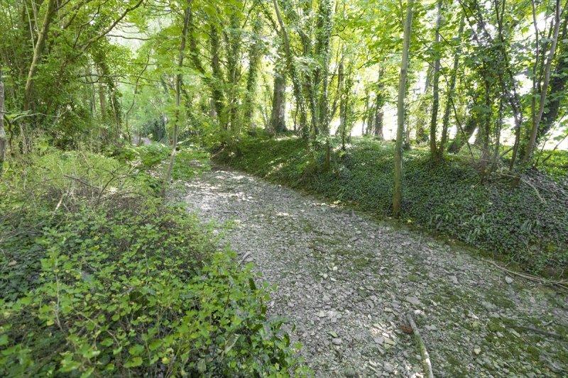 Thames Nehri'nin kaynağı kuruyor