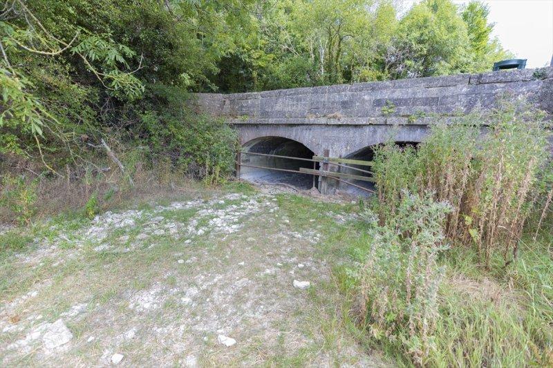 Thames Nehri'nin kaynağı kuruyor