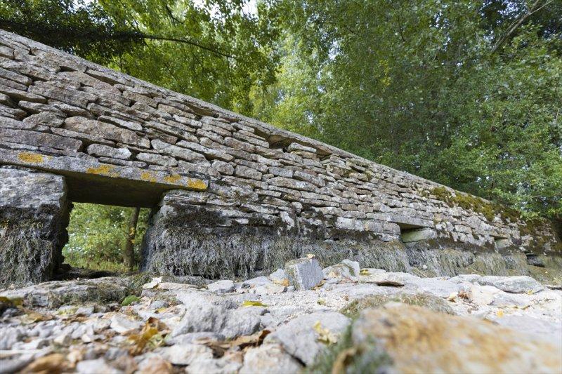 Thames Nehri'nin kaynağı kuruyor