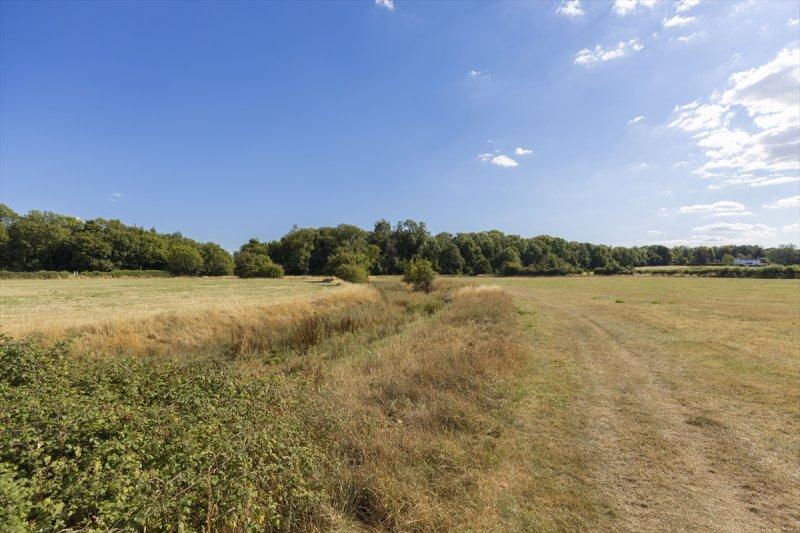 Thames Nehri'nin kaynağı kuruyor