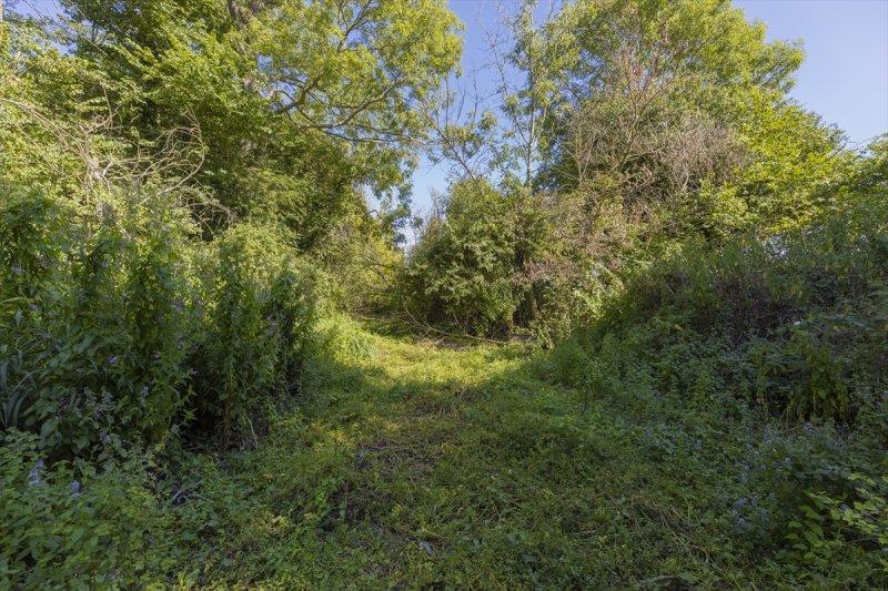 Thames Nehri'nin kaynağı kuruyor