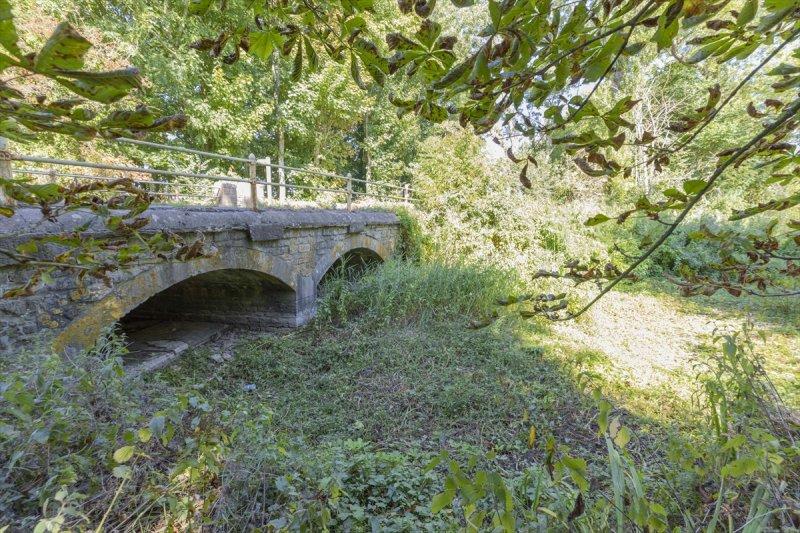 Thames Nehri'nin kaynağı kuruyor