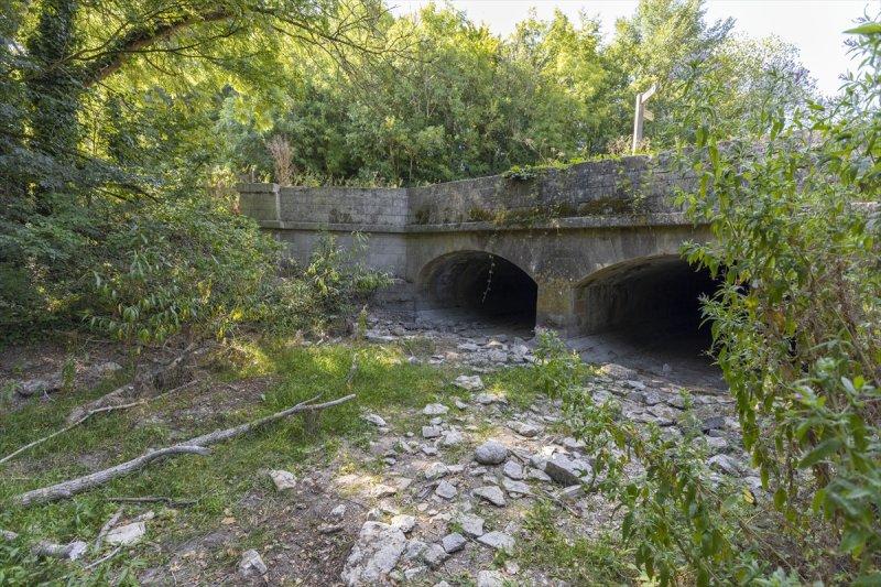 Thames Nehri'nin kaynağı kuruyor