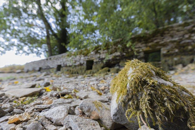 Thames Nehri'nin kaynağı kuruyor