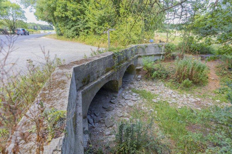 Thames Nehri'nin kaynağı kuruyor