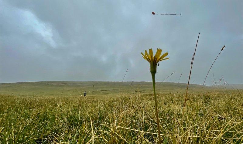 Karadeniz yaylaları sis altında