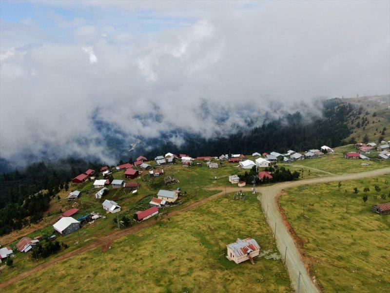 Karadeniz yaylaları sis altında