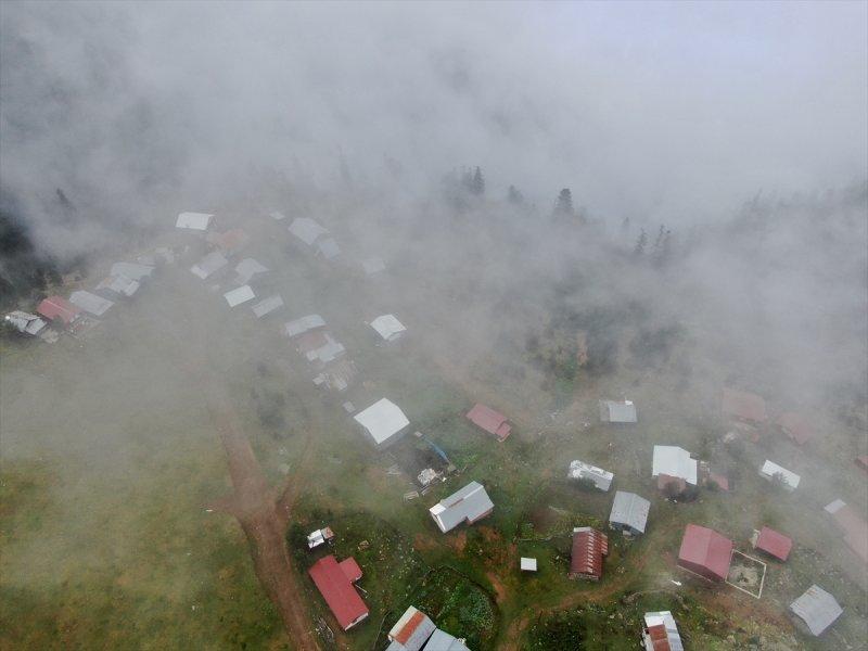 Karadeniz yaylaları sis altında
