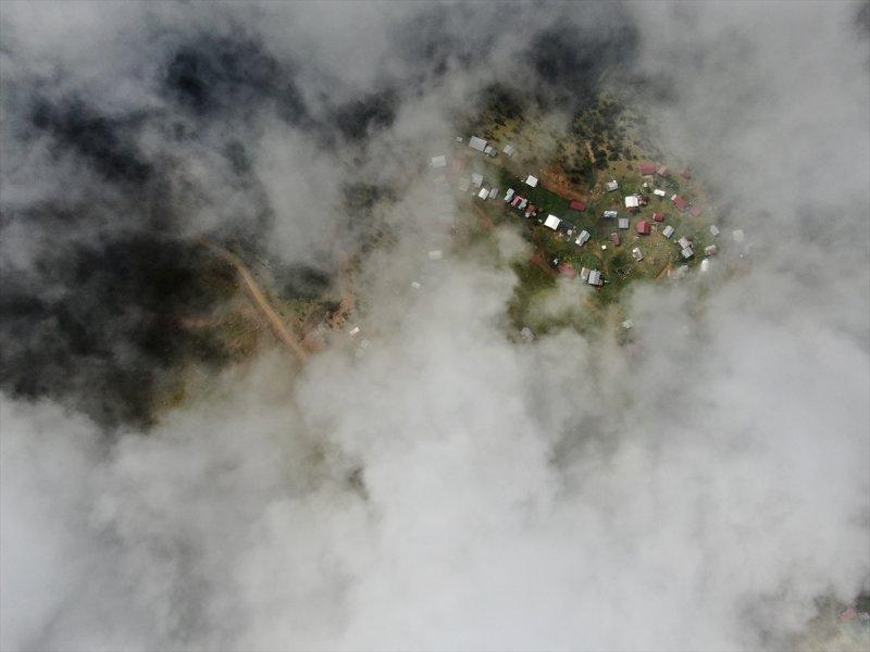 Karadeniz yaylaları sis altında
