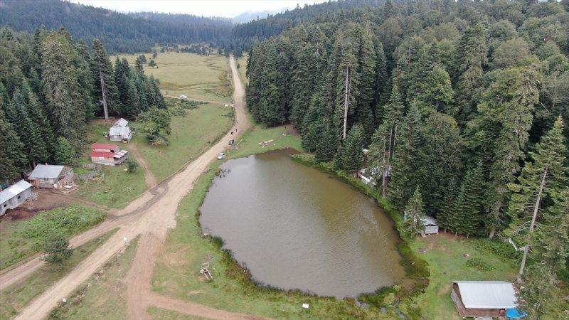Karadeniz yaylaları sis altında