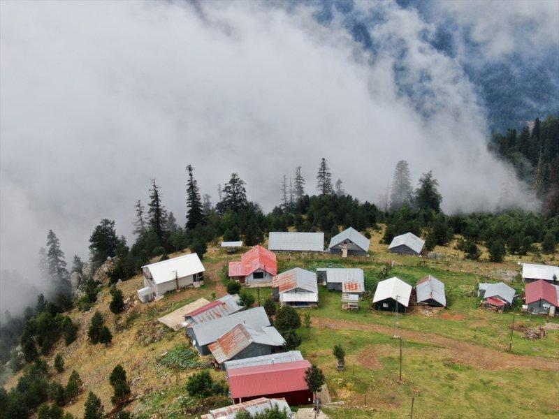Karadeniz yaylaları sis altında