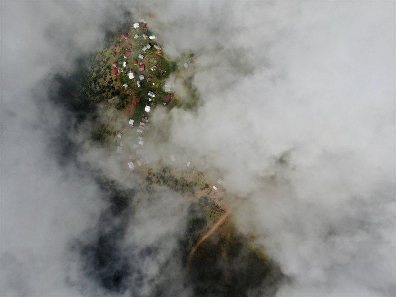 Karadeniz yaylaları sis altında