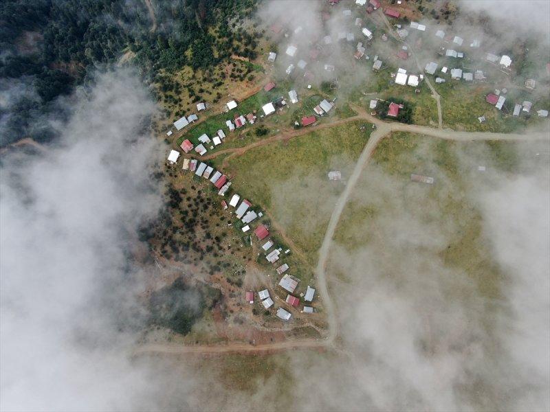 Karadeniz yaylaları sis altında